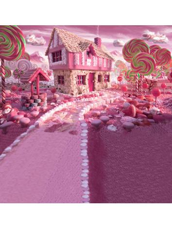 人形アイテム 人形用撮影背景の布　ピンク色の楽園　w016